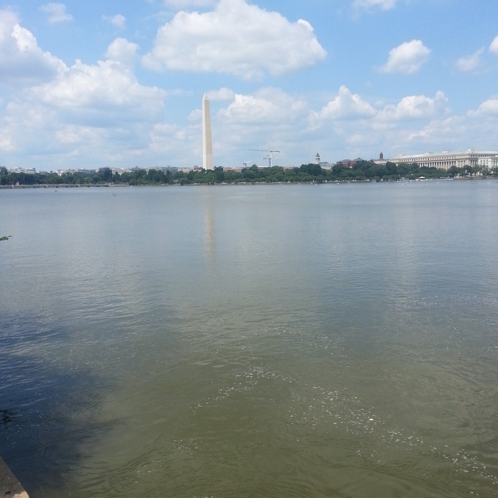 Meet your Posher, Lavar